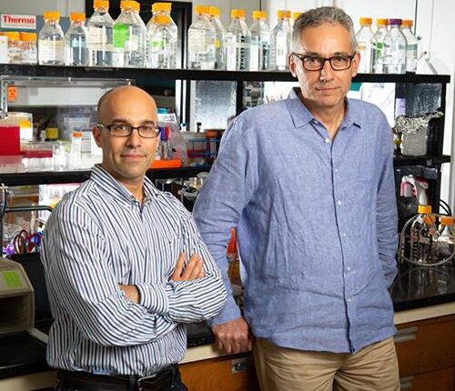 Stefan Ruhl, DDS, PhD and Omer Gokcumen, PhD