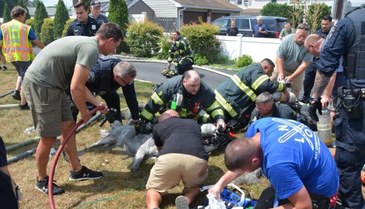 Off-duty cop helps firefighters rescue woman, 3 dogs from Islip Terrace fire, officials say

