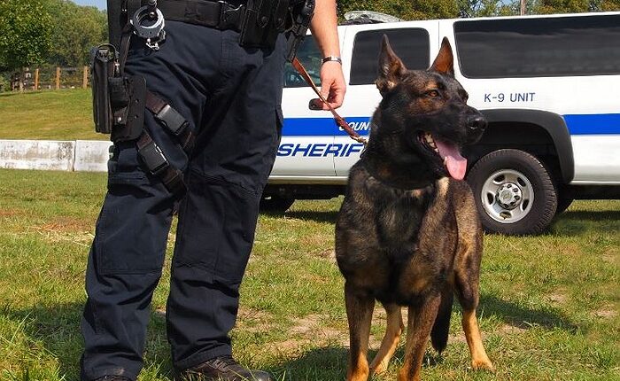 Man Arrested for Bail Jumping with Assistance of Police K-9 Unit
