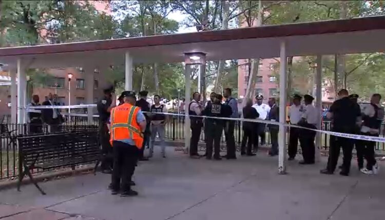 9-year-old girl grazed in head with BB gun while sitting on NYC bench
