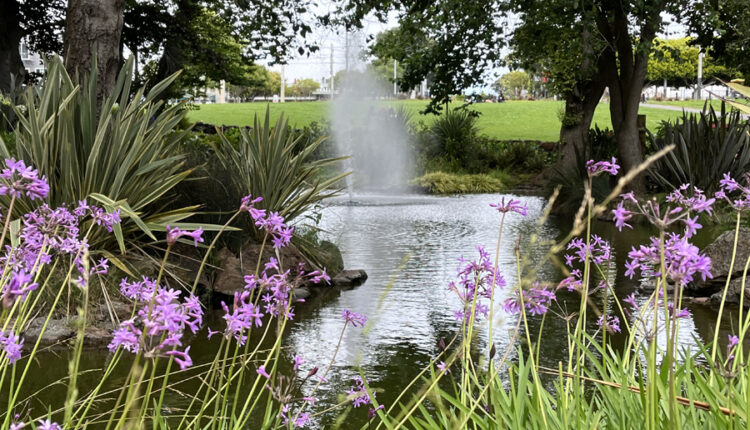 Alvord Lake—Richmond Review/Sunset Beacon
