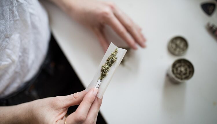 Will There Be Free Samples at the North East Cannabis Convention?
