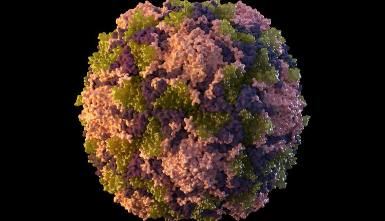 Polio outbreak: Fears rise in New York, virus found in 7 different wastewater samples near NYC
