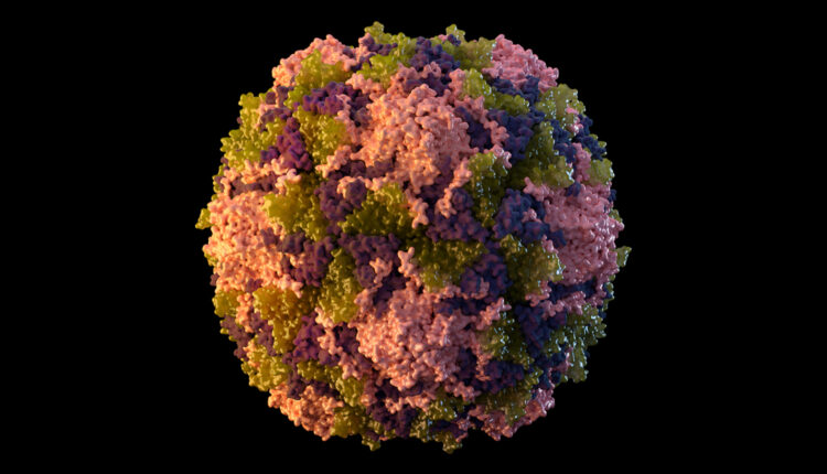CDC sends team to investigate Rockland County polio case, to help with vaccines
