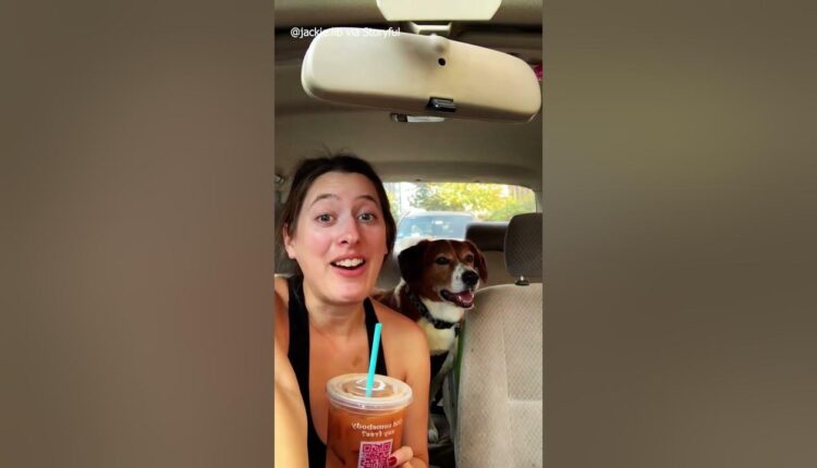Dog greets 85-year-old neighbor #shorts