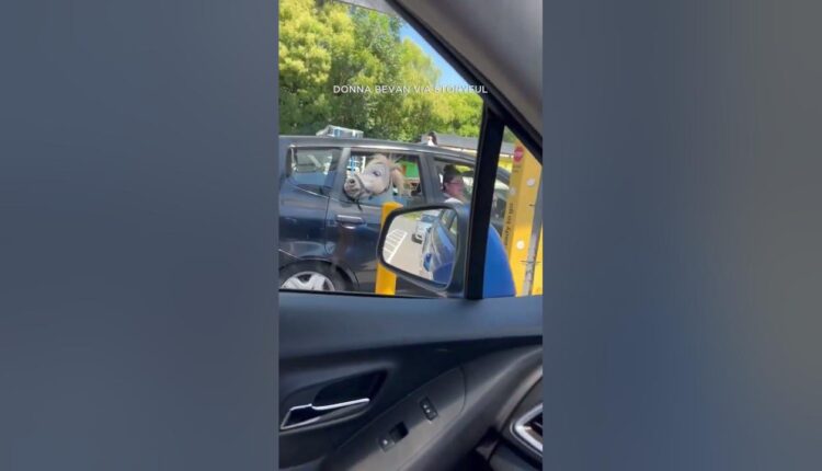 Horse spotted waiting for ice cream at McDonald’s drive-thru #shorts