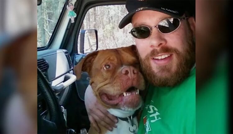 Veteran says George Santos took money donated to help his dying dog