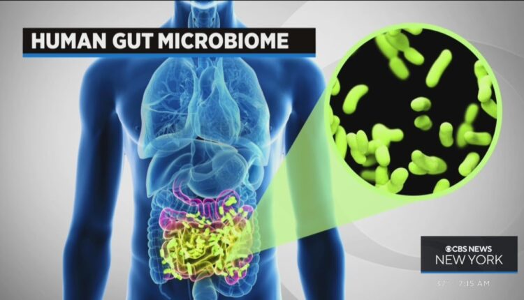 On Call with Dr. Kumar: Protecting your gut microbiome