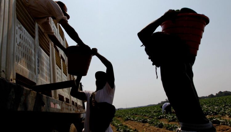farm worker