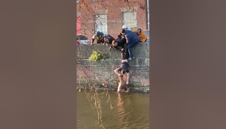 Good Samaritans ban together to rescue dog stranded in canal #shorts