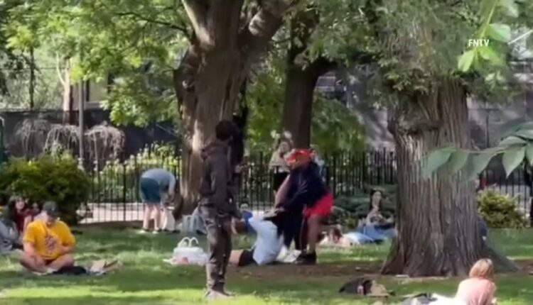 Woman seen violently tugging on people's hair in East Village park