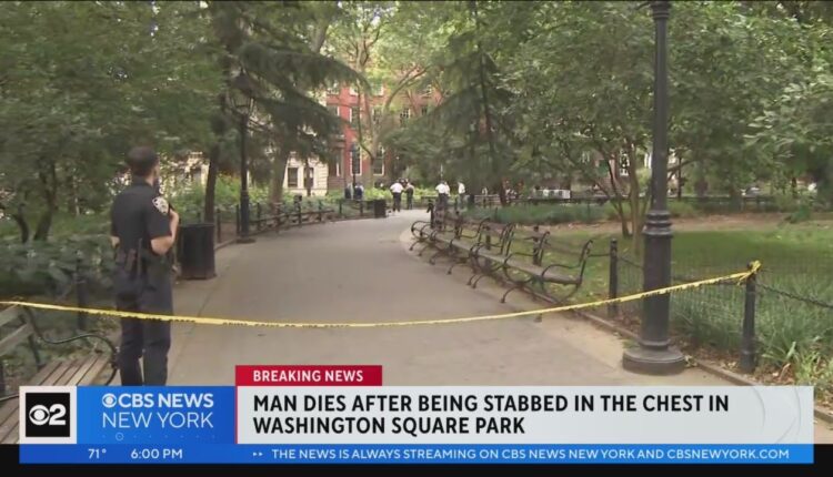 Man dies after being stabbed in the chest in Washington Square Park
