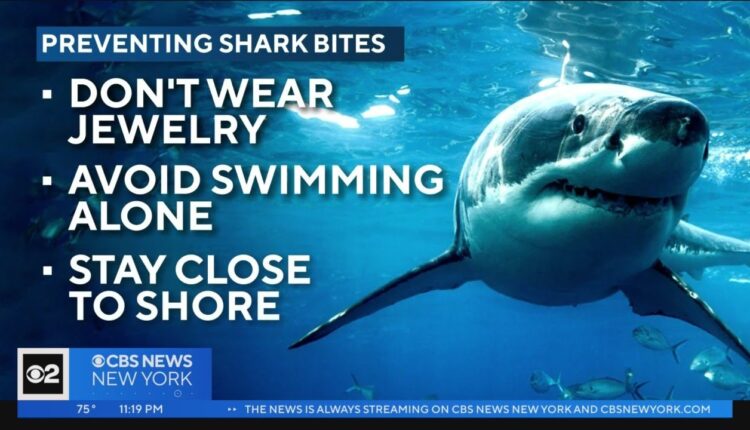 A shark watch has begun on Long Island