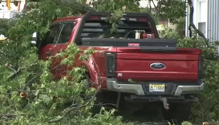 Violent storms bring down dozens of trees, trigger flooding in the Tri-State