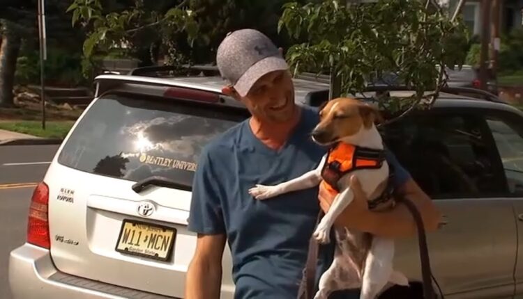 Owners reunited with beloved dog after it was stolen off porch