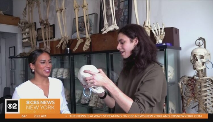 Recent college grad running bone supply business in Bushwick