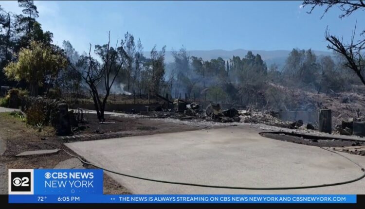 New Yorkers fear for loved ones in Hawaii after wildfires
