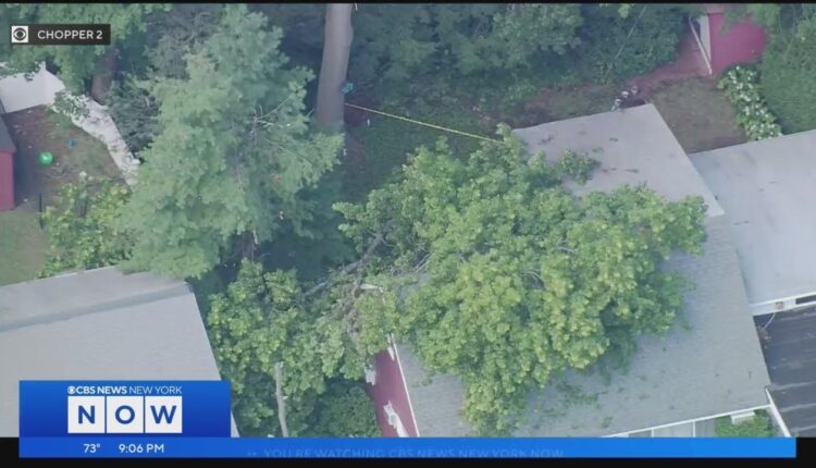 1 hurt on Long Island, 2 hurt in Westchester County by downed trees