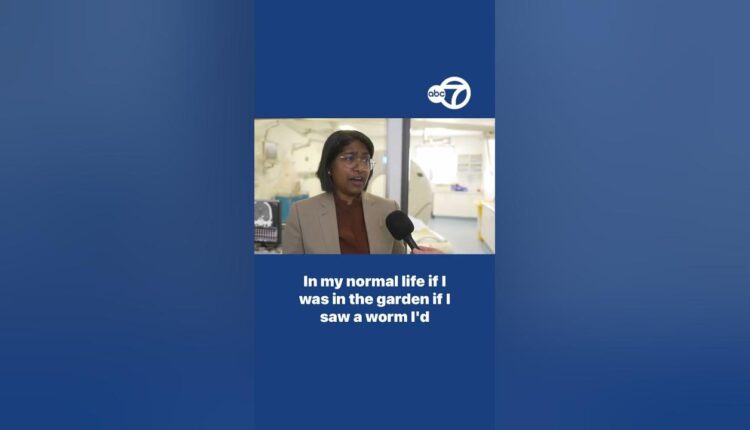 The surgeon said she's still traumatized by the unusual find 🧠