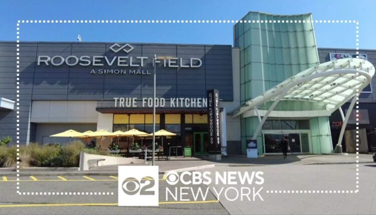Recent incidents at Roosevelt Field Mall spark safety concerns
