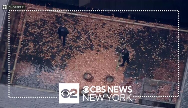 Man jumps into World Trade Center Memorial pool
