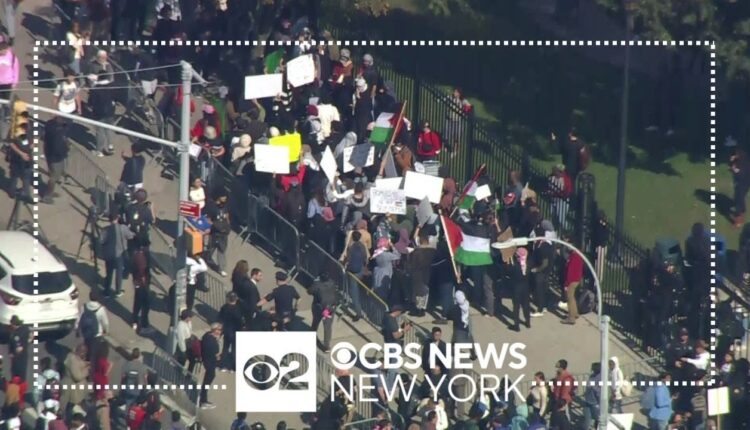 Rally held in Brooklyn in support of Palestinians