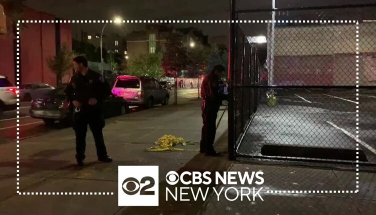 NYPD officer accidentally fired weapon in Brooklyn.