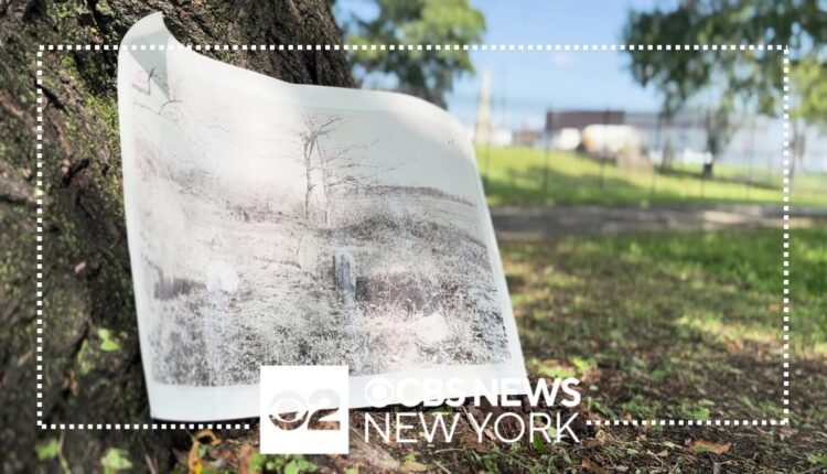 Enslaved persons burial ground in the Bronx could see landmark status