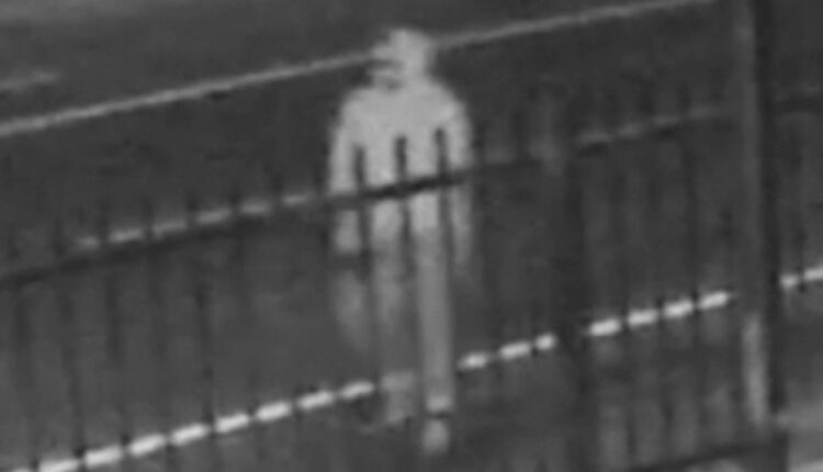 Police searching for suspect in back-to-back killings of 3 homeless men across LA