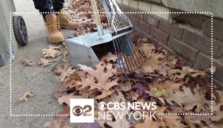 Over 1,000 NYC parks workers expected to lose their jobs due to budget cuts