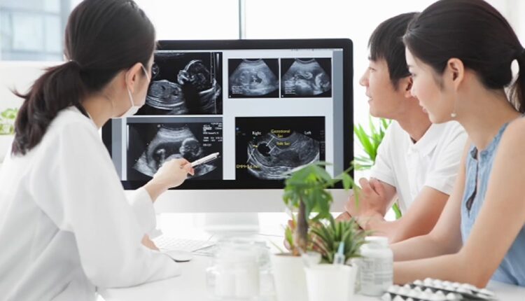 How do navigate fertility conversations at holiday gatherings