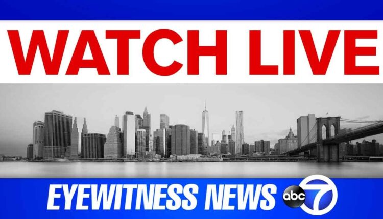 LIVE CAM: Aerial view of New York City skyline