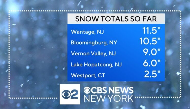 Winter storm fails to bring 1 inch of snow to Central Park