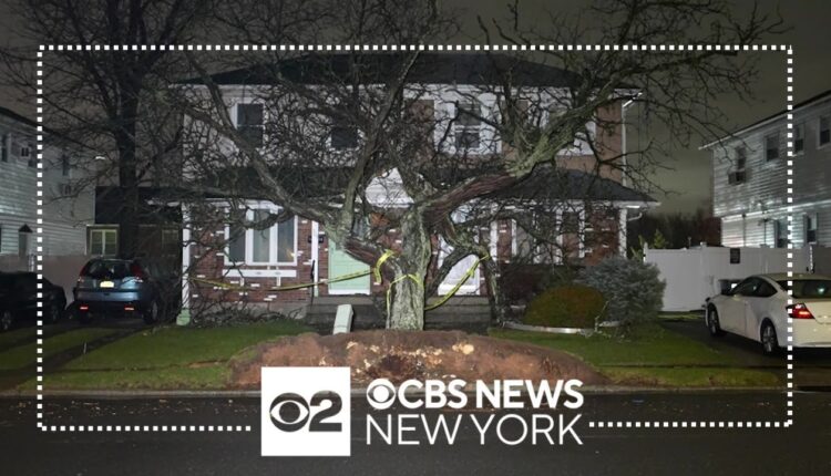 Strong winds topple tree onto front of home on Staten Island