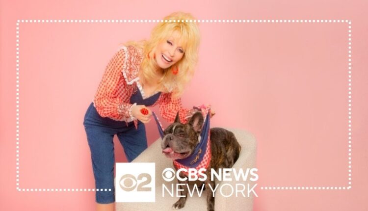 "Dolly Parton's Pet Gala" airs Wednesday night, Feb. 21