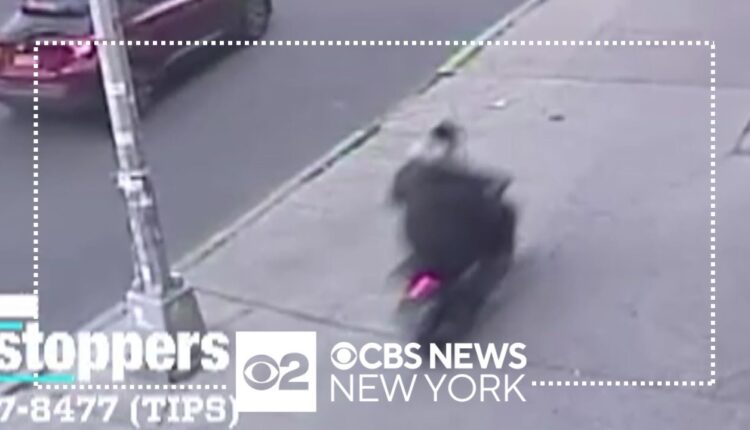 Brick thrown at NYPD officers in the Bronx