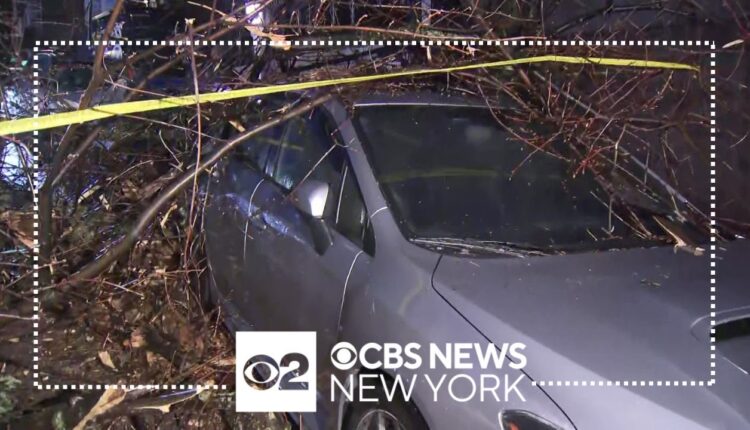 Large tree falls onto power lines, parked cars in Manhattan