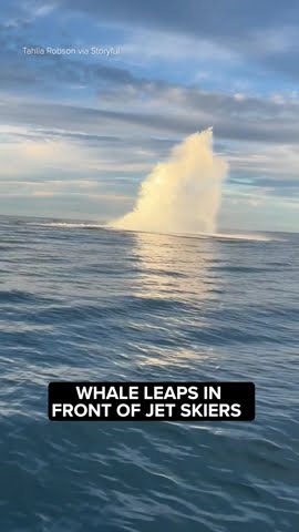 Sunset Jet Ski Session 'Becomes a Dream' as Whale Leaps From Water